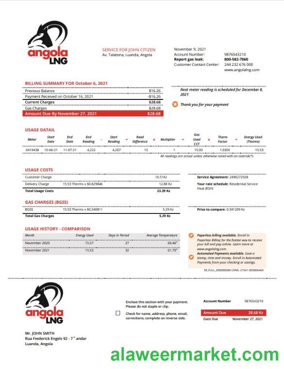 Angola LNG proof of address utility bill template in Word and PDF format